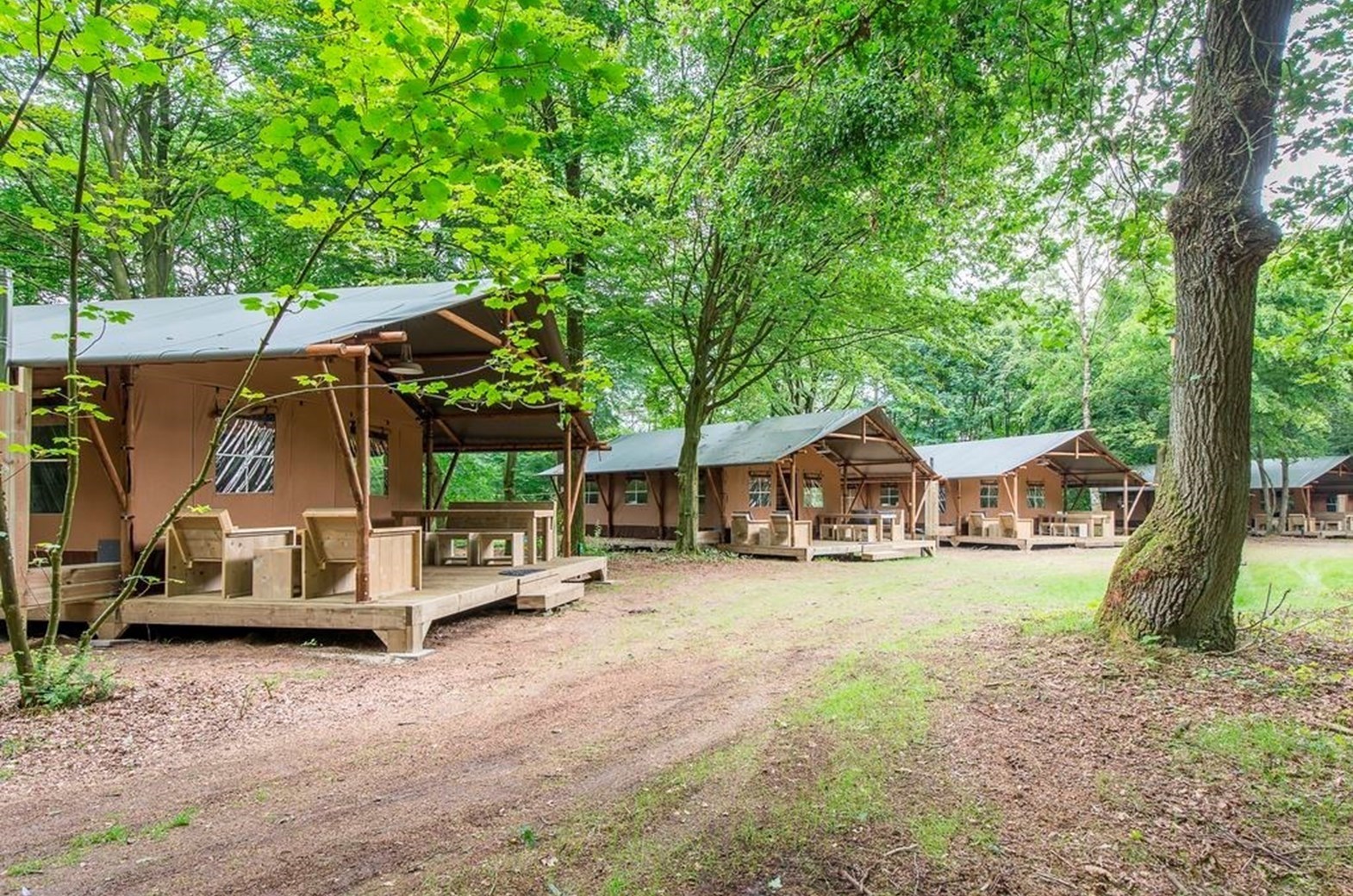 Boek een luxe safaritent bij Landal Rabbit Hill